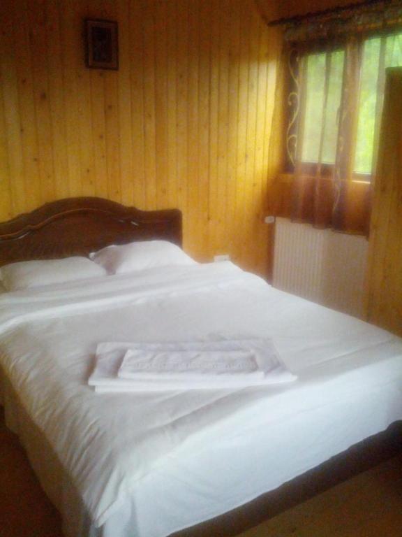 Pensiunea Magdalena Câmpulung Room photo