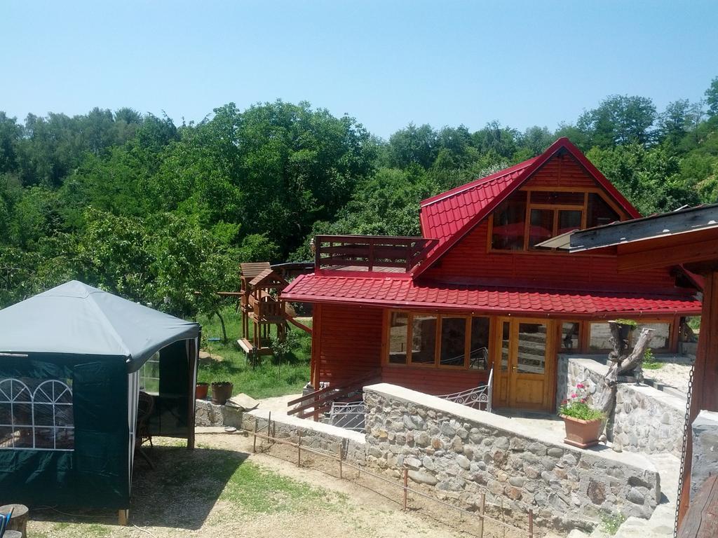Pensiunea Magdalena Câmpulung Exterior photo